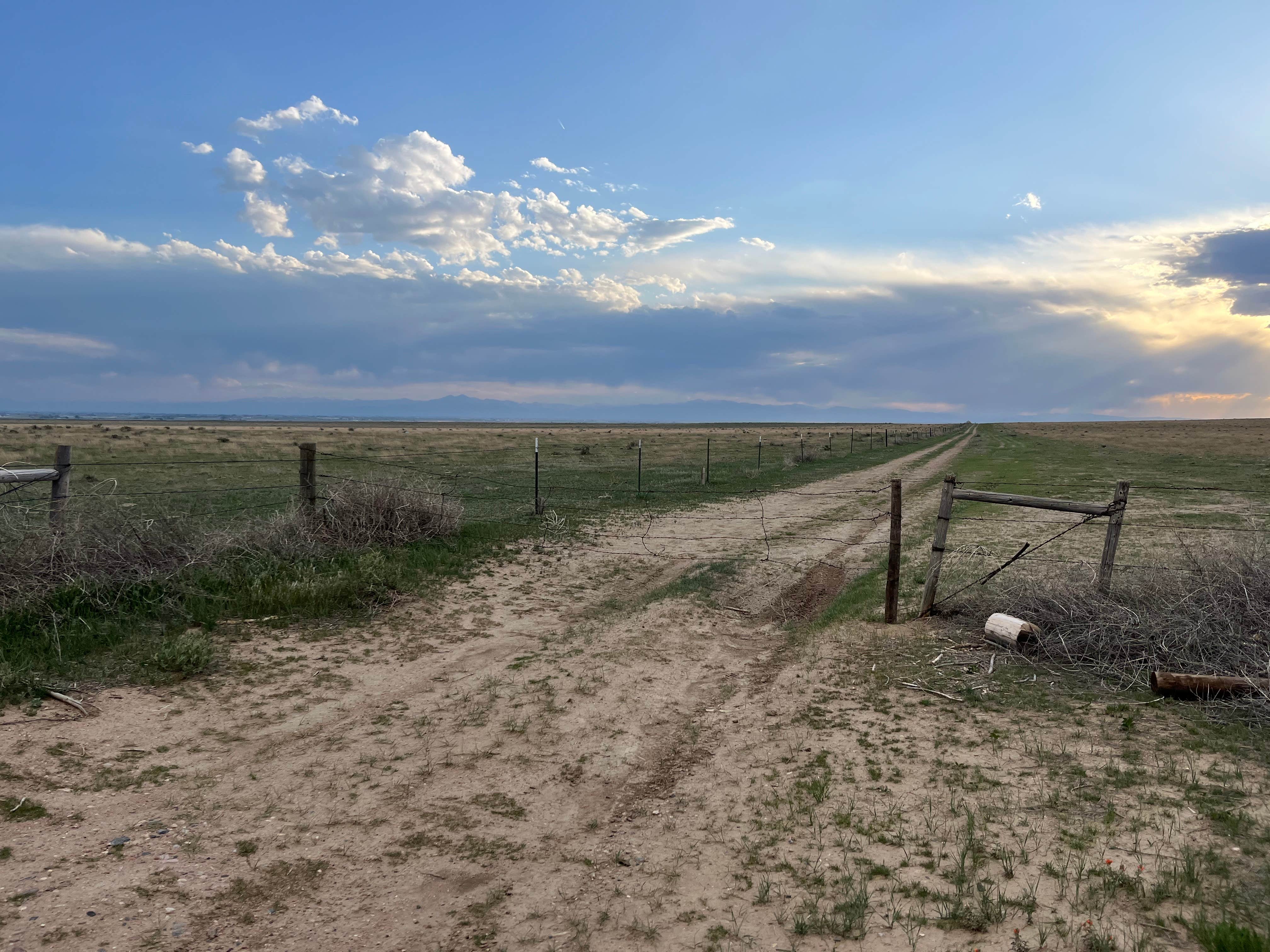 Amy K.'s photo of a dispersed camping area at weld road 49 dispersed camping near Ault, CO