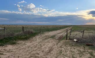 Amy K.'s photo of a dispersed camping area at weld road 49 dispersed camping near Laporte, CO