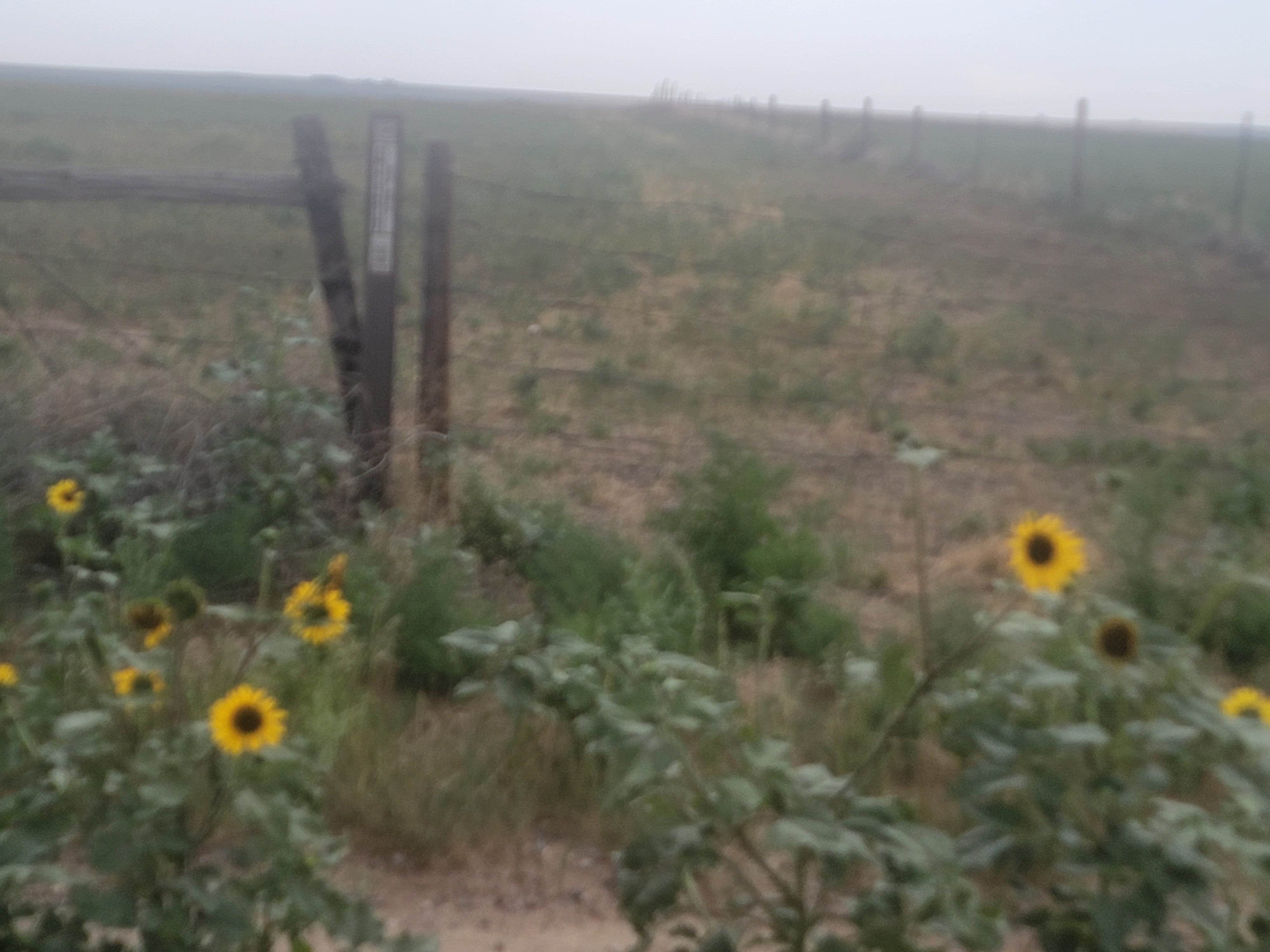 Camper-submitted photo at weld road 49 dispersed camping near Ault, CO