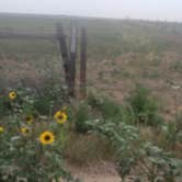 Review photo of weld road 49 dispersed camping by Kenye G., July 18, 2025