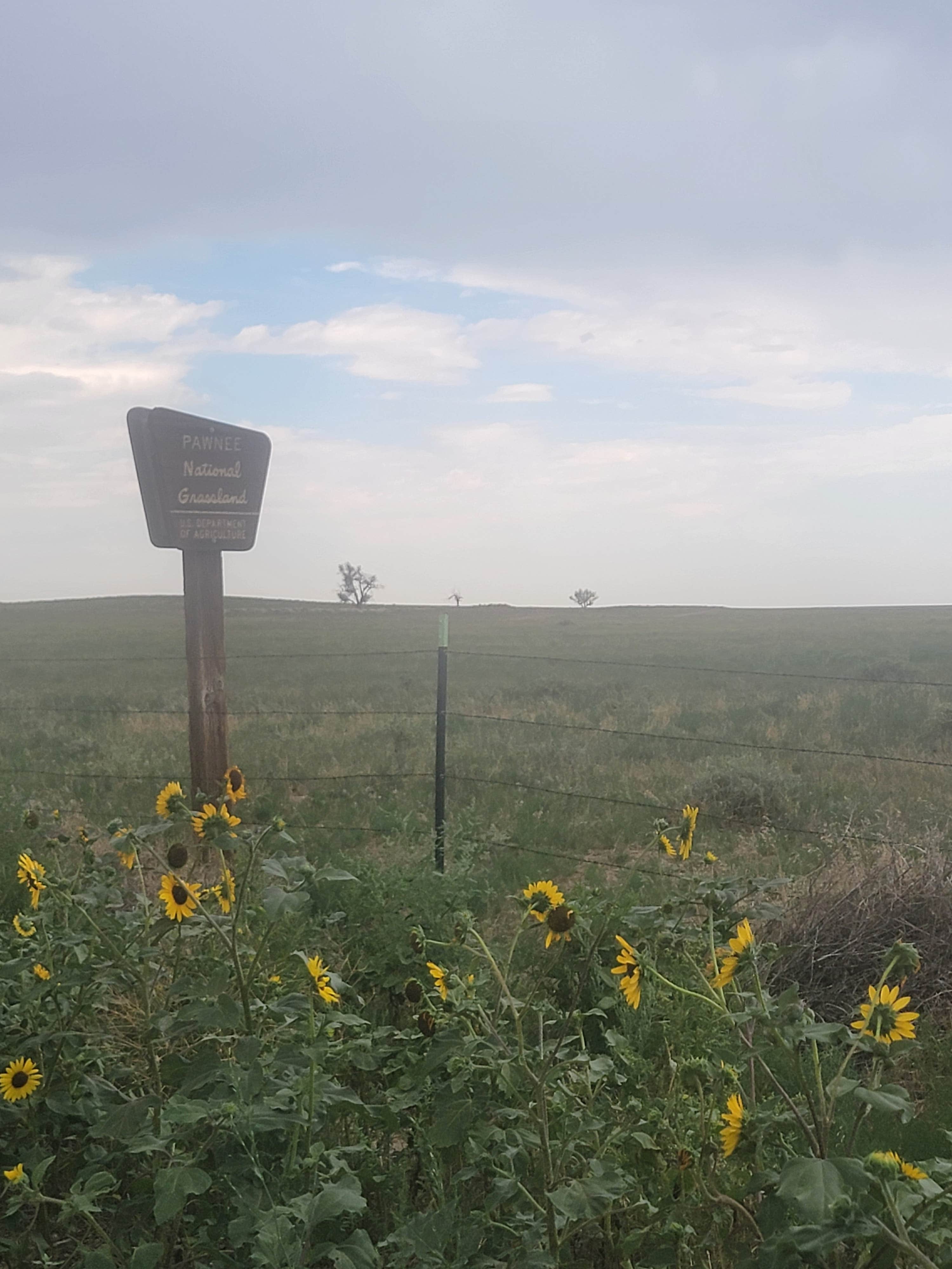 Camper-submitted photo at weld road 49 dispersed camping near Ault, CO