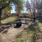 Review photo of weld road 49 dispersed camping by Todd T., October 31, 2025