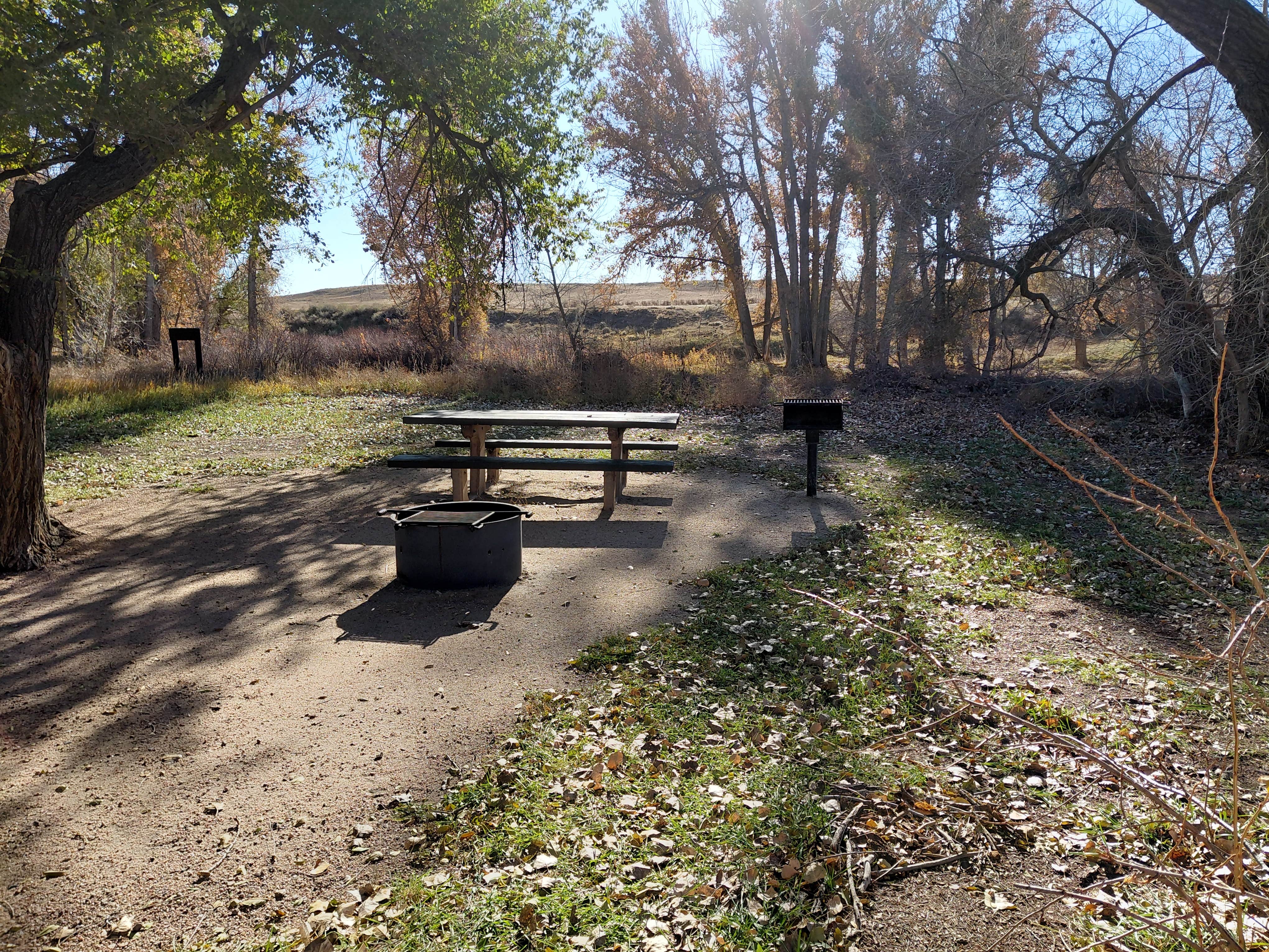 Camper submitted image from weld road 49 dispersed camping - 5