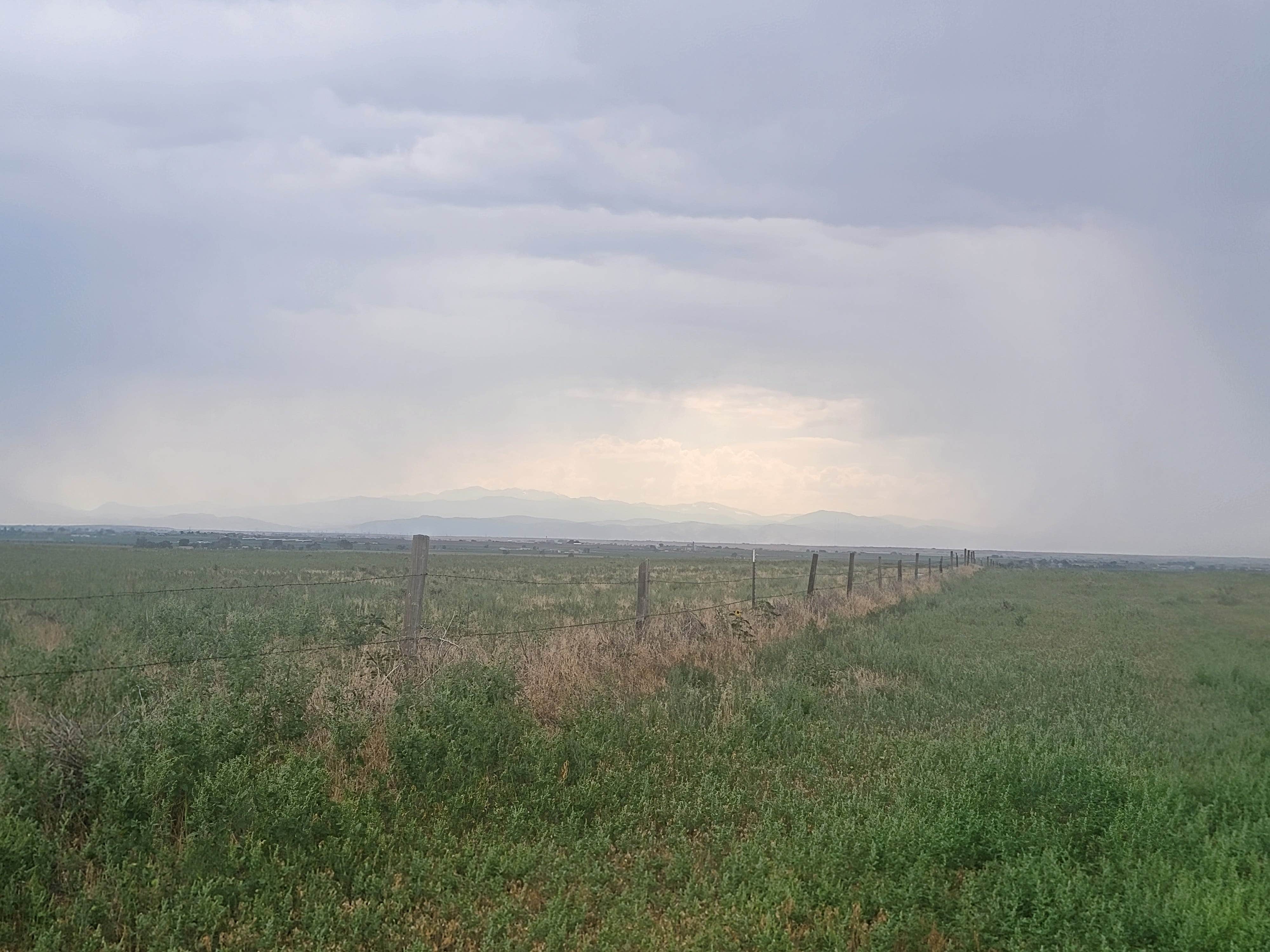 Camper-submitted photo at weld road 49 dispersed camping near Ault, CO