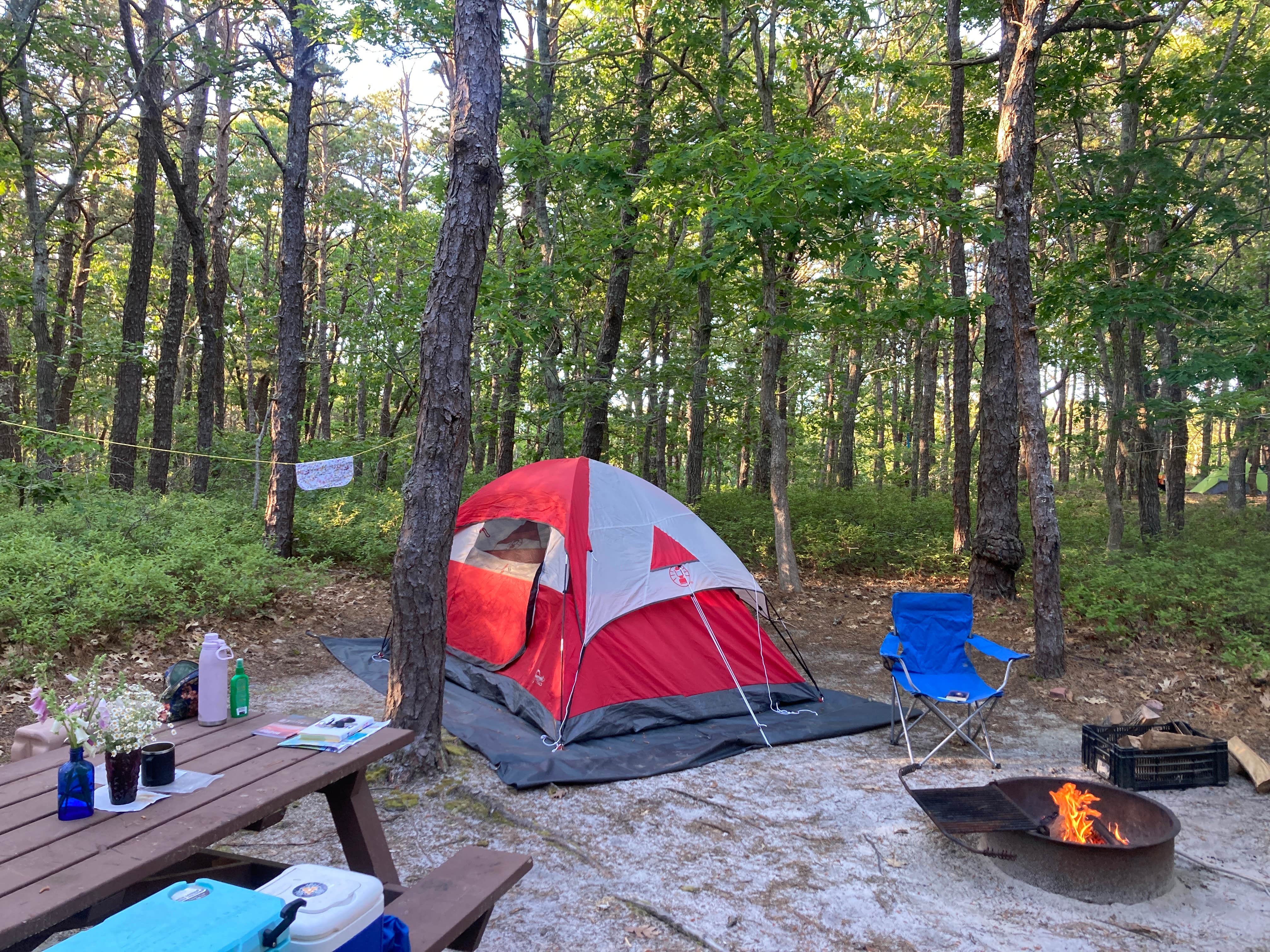 cal K.'s photo at Wellfleet Hollow State Campground near Orleans, MA