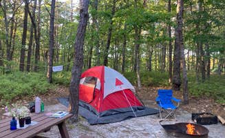 cal K.'s photo of tent camping at Wellfleet Hollow State Campground near Siasconset, MA