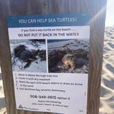 Review photo of Wellfleet Hollow State Park Campground by cal K., June 9, 2024