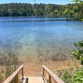 Review photo of Wellfleet Hollow State Park Campground by cal K., June 9, 2024