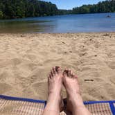 Review photo of Wellfleet Hollow State Park Campground by cal K., June 9, 2024