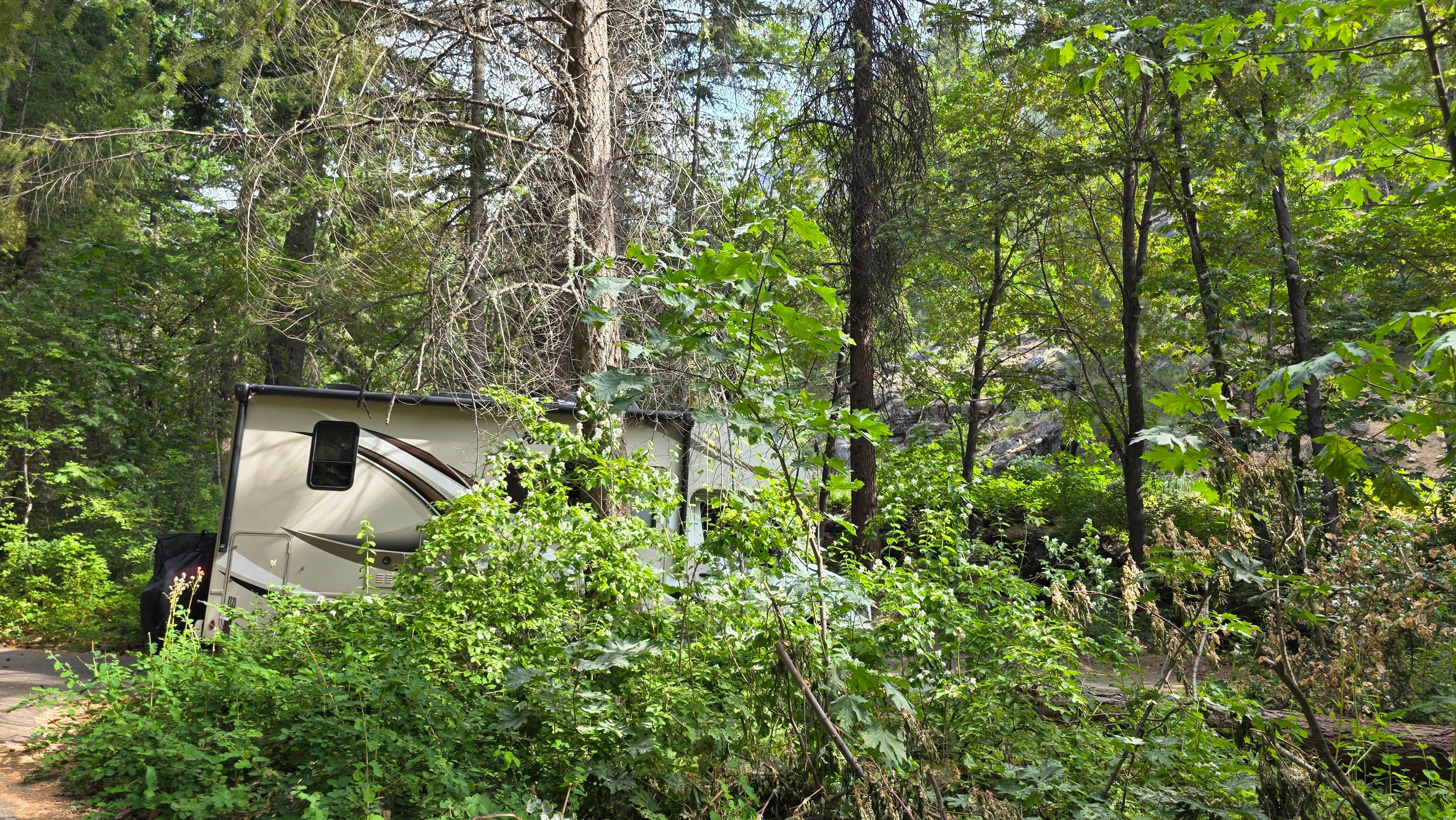 Travis H.'s photo at Eightmile Campground near Leavenworth, WA