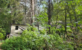 Travis H.'s photo at Eightmile Campground near Okanogan-Wenatchee National Forest