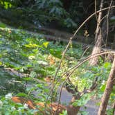 Review photo of Eightmile Campground by Travis H., July 7, 2025