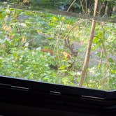 Review photo of Eightmile Campground by Travis H., July 7, 2025