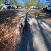 Review photo of Wendy Oaks RV Resort by Alexandra , November 23, 2023