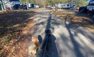 Alexandra's photo of camping with pets at Wendy Oaks RV Resort near Morton, MS