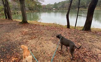Alexandra's photo of camping with pets at Wendy Oaks RV Resort near Raymond, MS