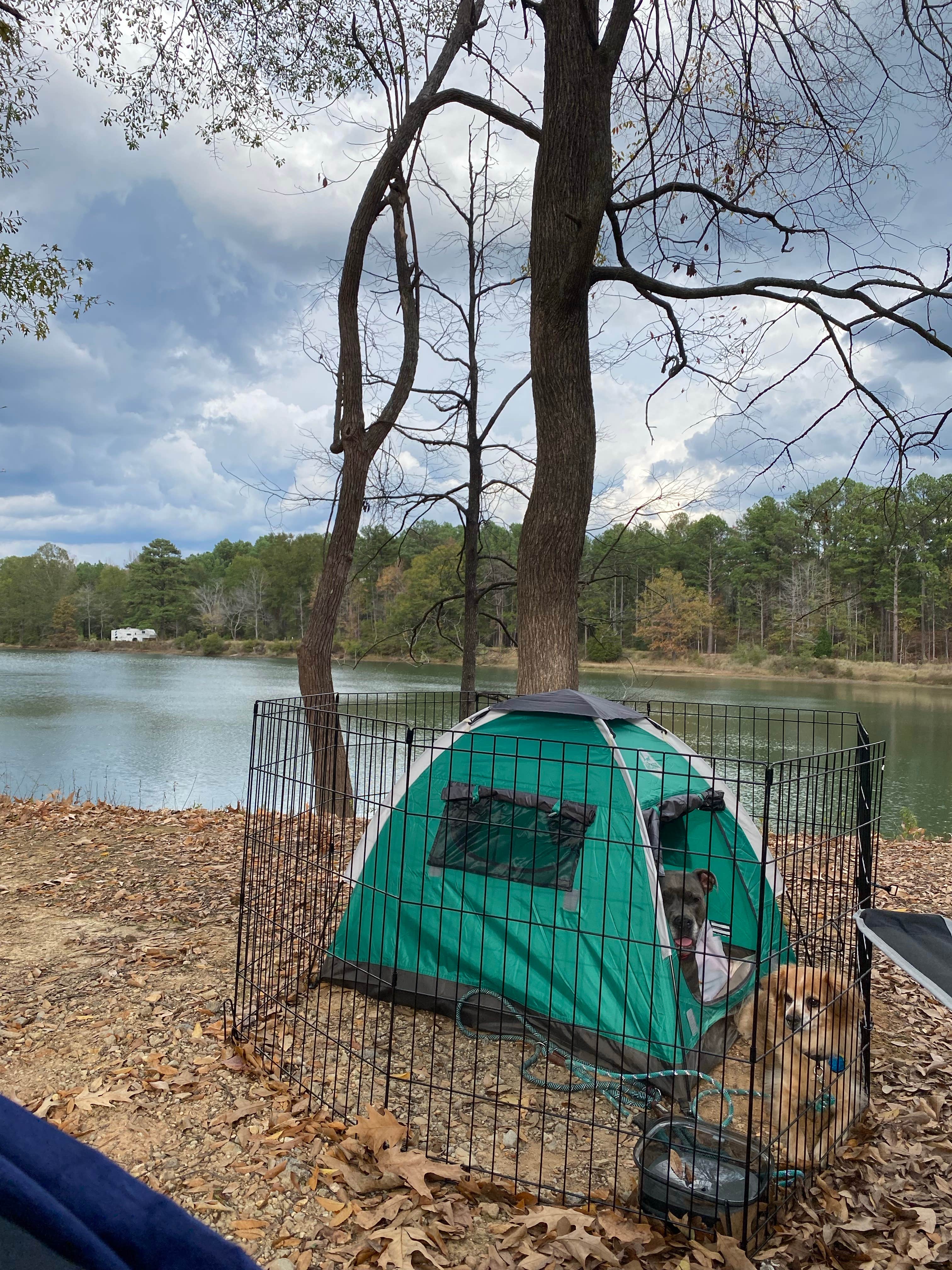 Alexandra's photo at Wendy Oaks RV Resort near Wesson, MS
