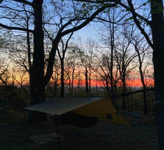 Camper-submitted photo from Whippoorwill Vineyards