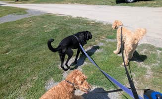 T&J  F.'s photo of camping with pets at West Canada Creek Campground near Verona Beach, NY