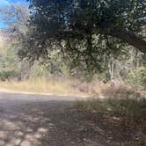 Review photo of west cochise BLM by sophia , March 17, 2026