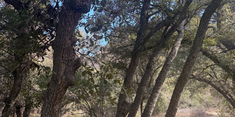 Camper submitted image from west cochise BLM