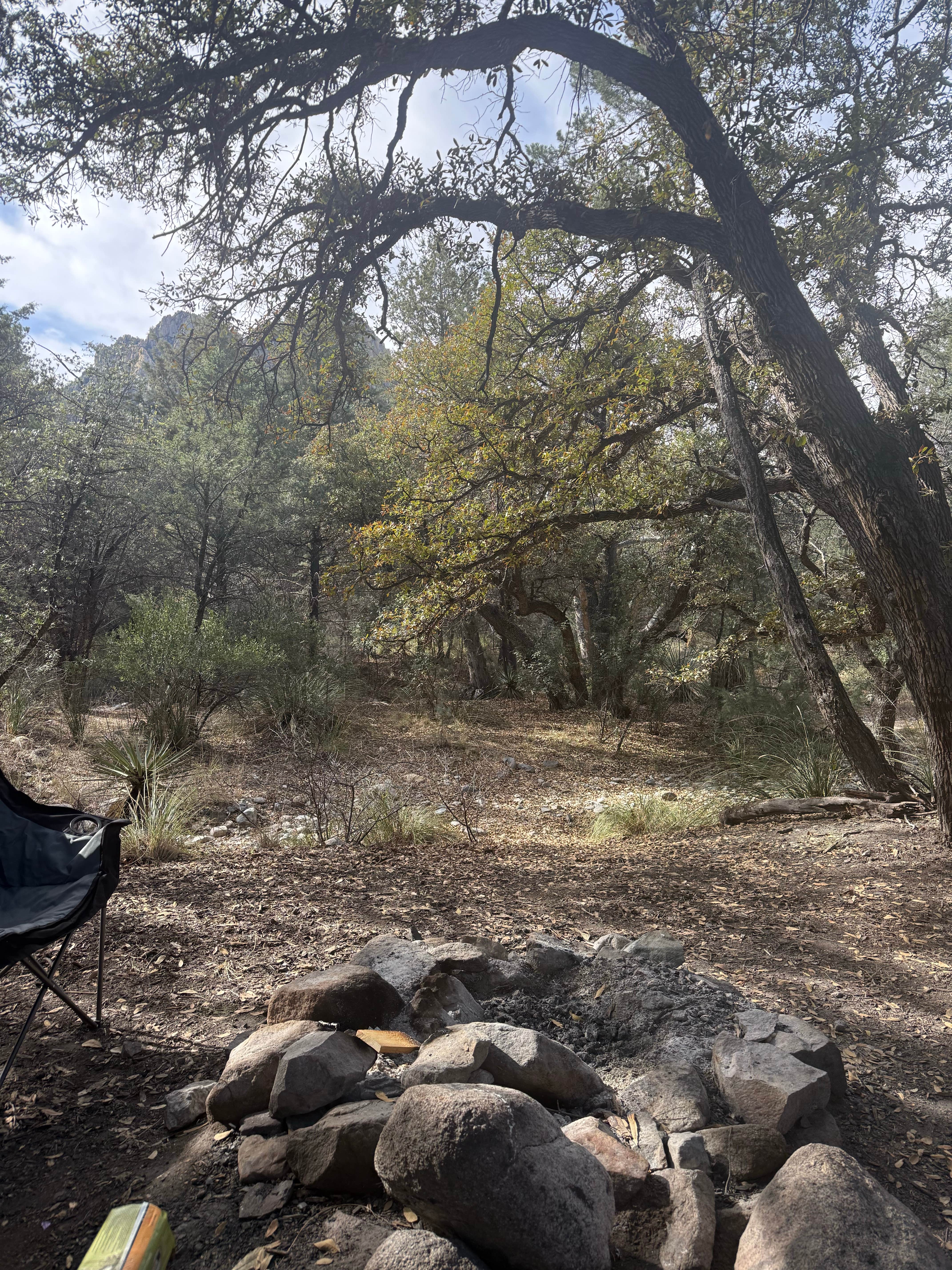 Camper-submitted photo at west cochise BLM near Pearce, AZ