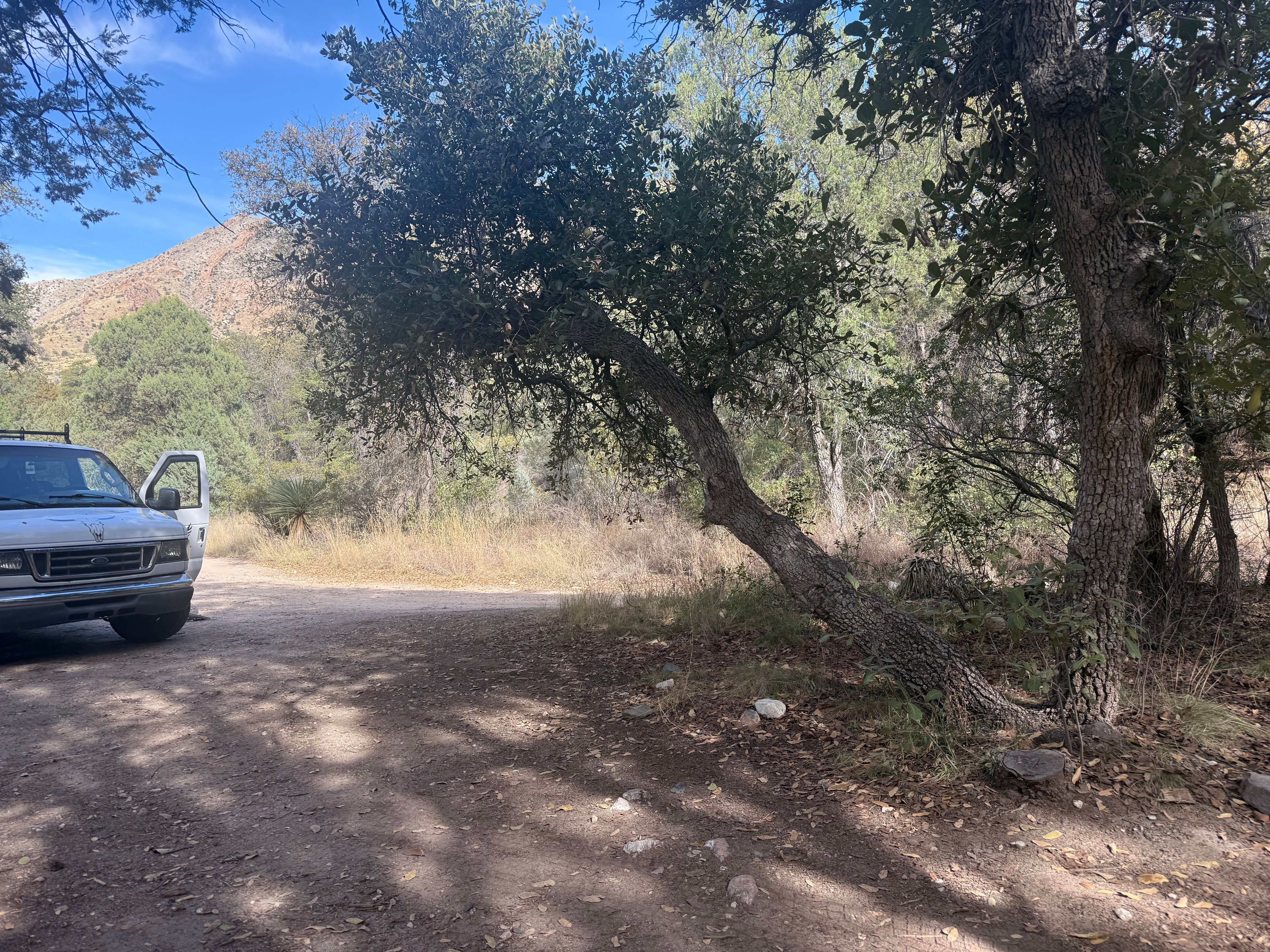 Camper-submitted photo at west cochise BLM near Pearce, AZ