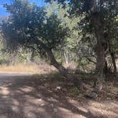 Review photo of west cochise BLM by sophia , March 17, 2026