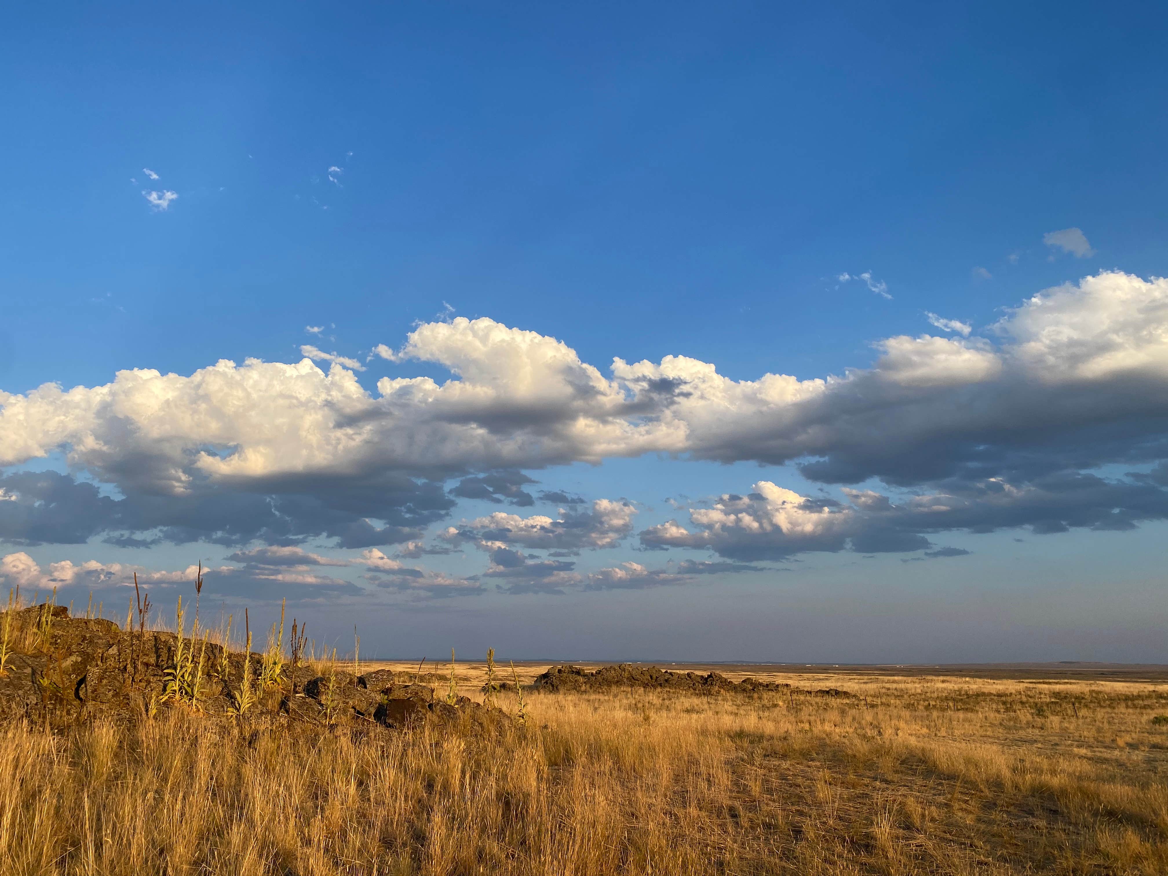 Zaq O.'s photo of a dispersed camping area at West Dubois Pulloff on Route 22 near Dubois, ID