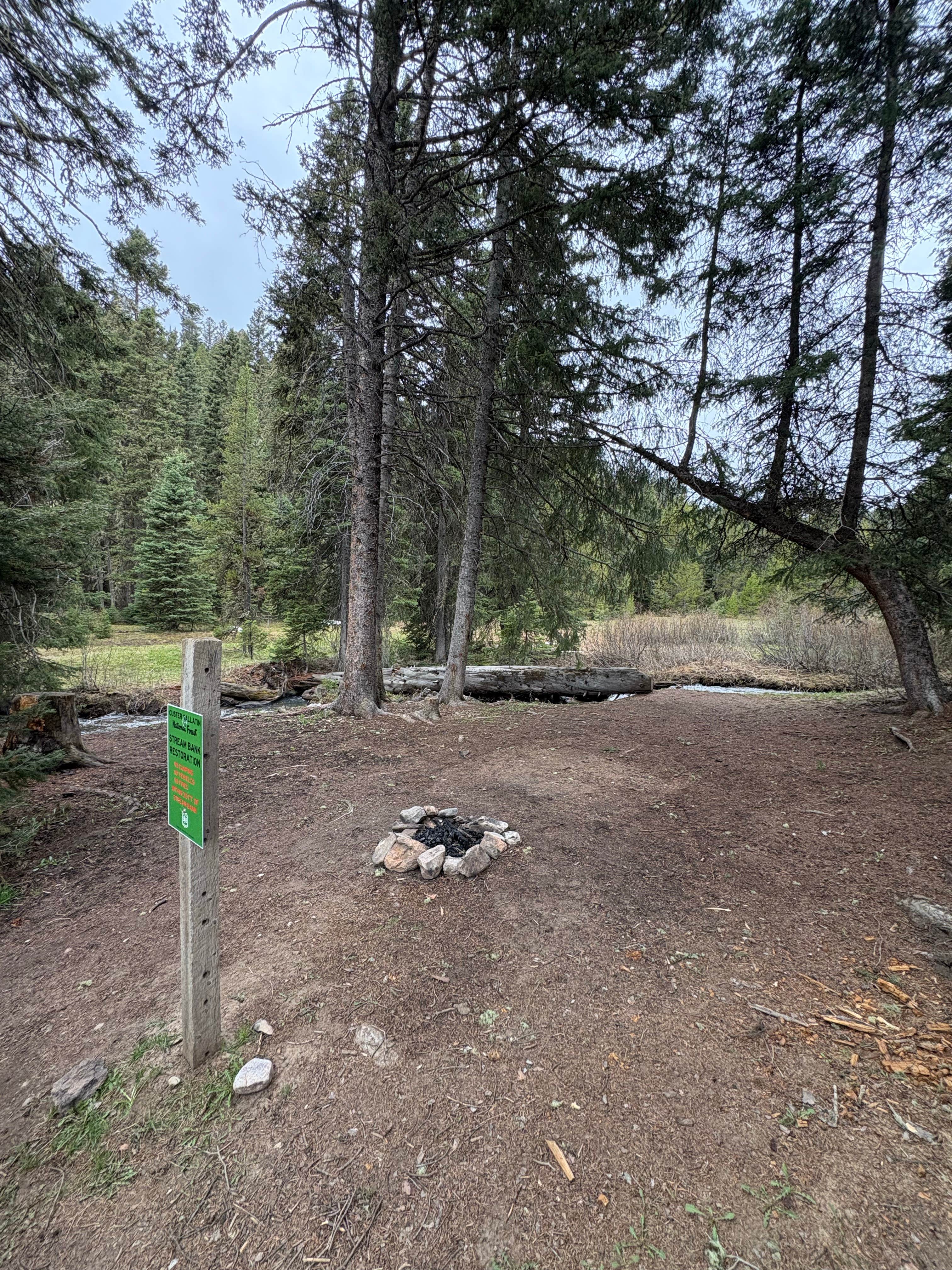 Camper-submitted photo at West Fork Denny Creek near Island Park, ID