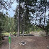 Review photo of West Fork Denny Creek by Emma C., May 17, 2025