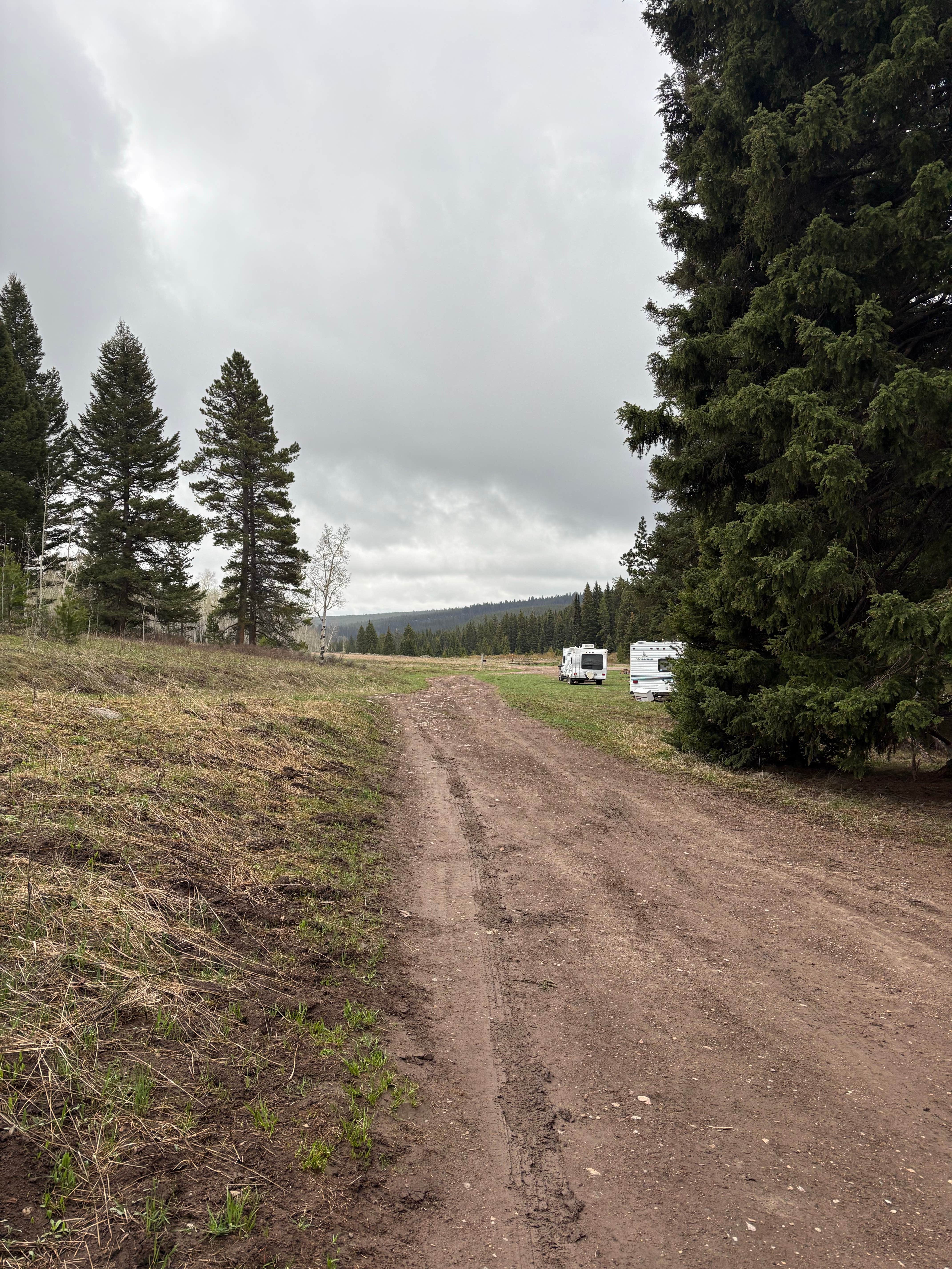 Camper submitted image from West Fork Denny Creek - 4
