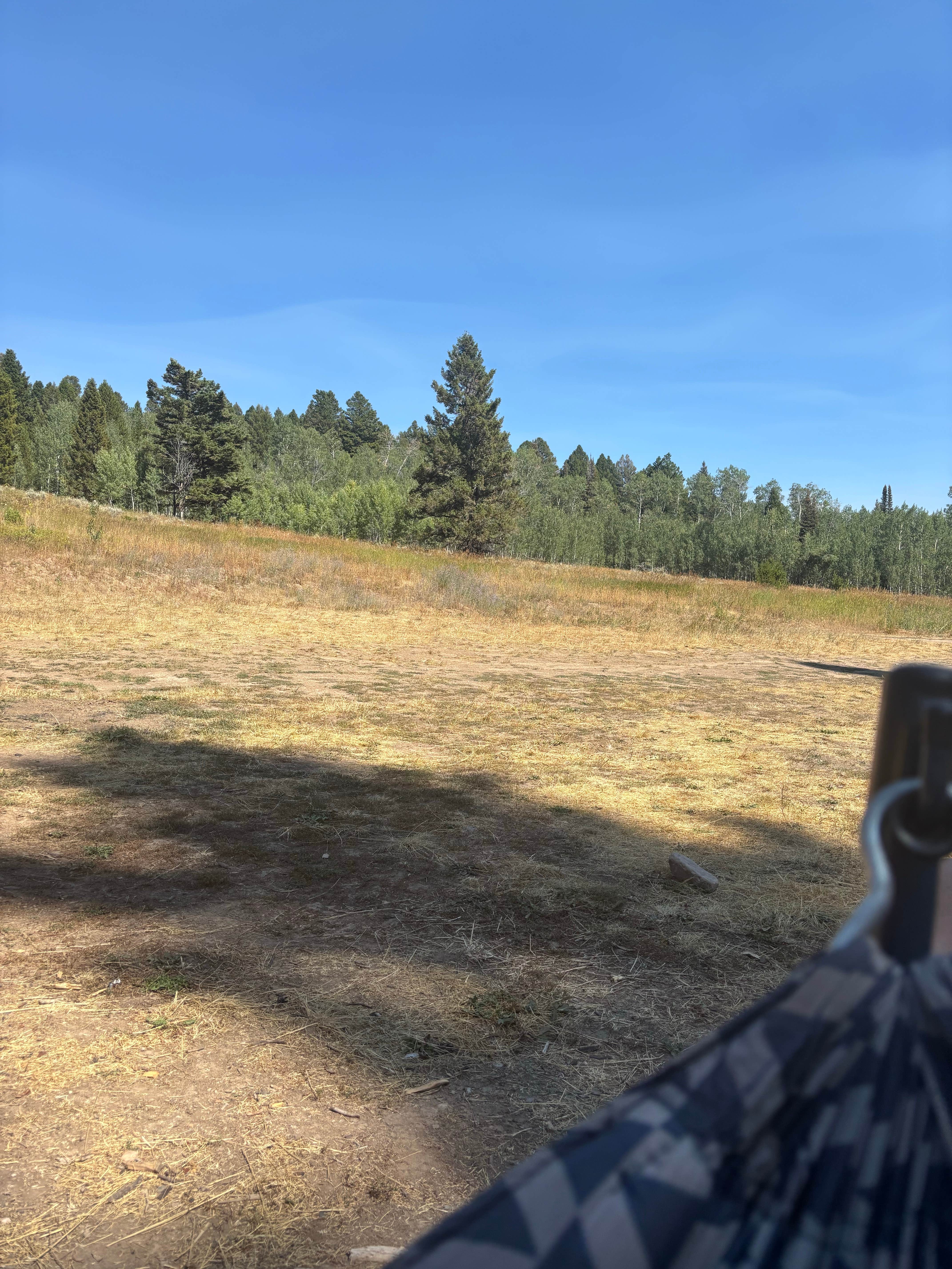 Camper-submitted photo at West Fork Denny Creek near Island Park, ID