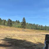Review photo of West Fork Denny Creek by Kendra T., August 19, 2025