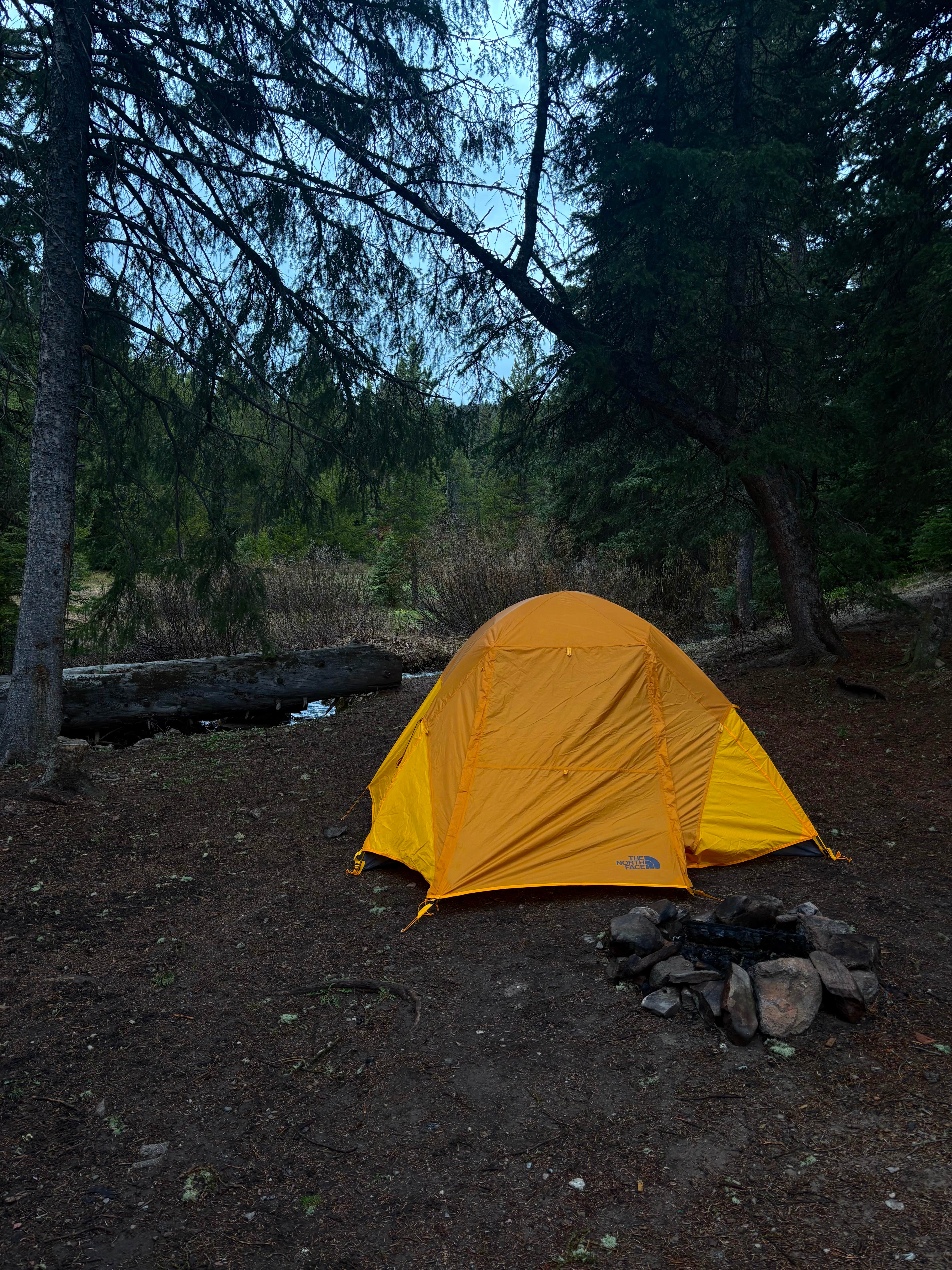 Camping near Targhee Creek: West Fork Denny Creek, West Yellowstone, Montana
