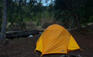 Emma C.'s photo at West Fork Denny Creek near West Yellowstone, MT