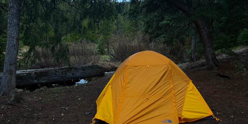 Camper submitted image from West Fork Denny Creek