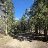 Review photo of West Fork Dispersed by Steve R., May 16, 2025