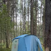 Review photo of West Glacier KOA Resort by Sabrina N., August 19, 2026
