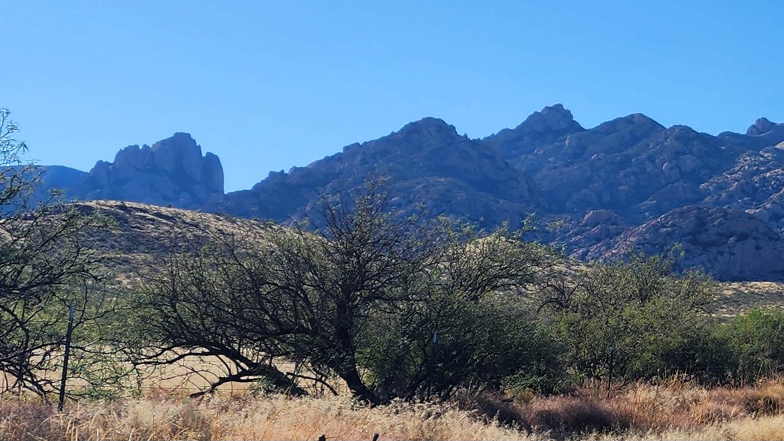 Camper-submitted photo at West Hunt Road near Tombstone, AZ