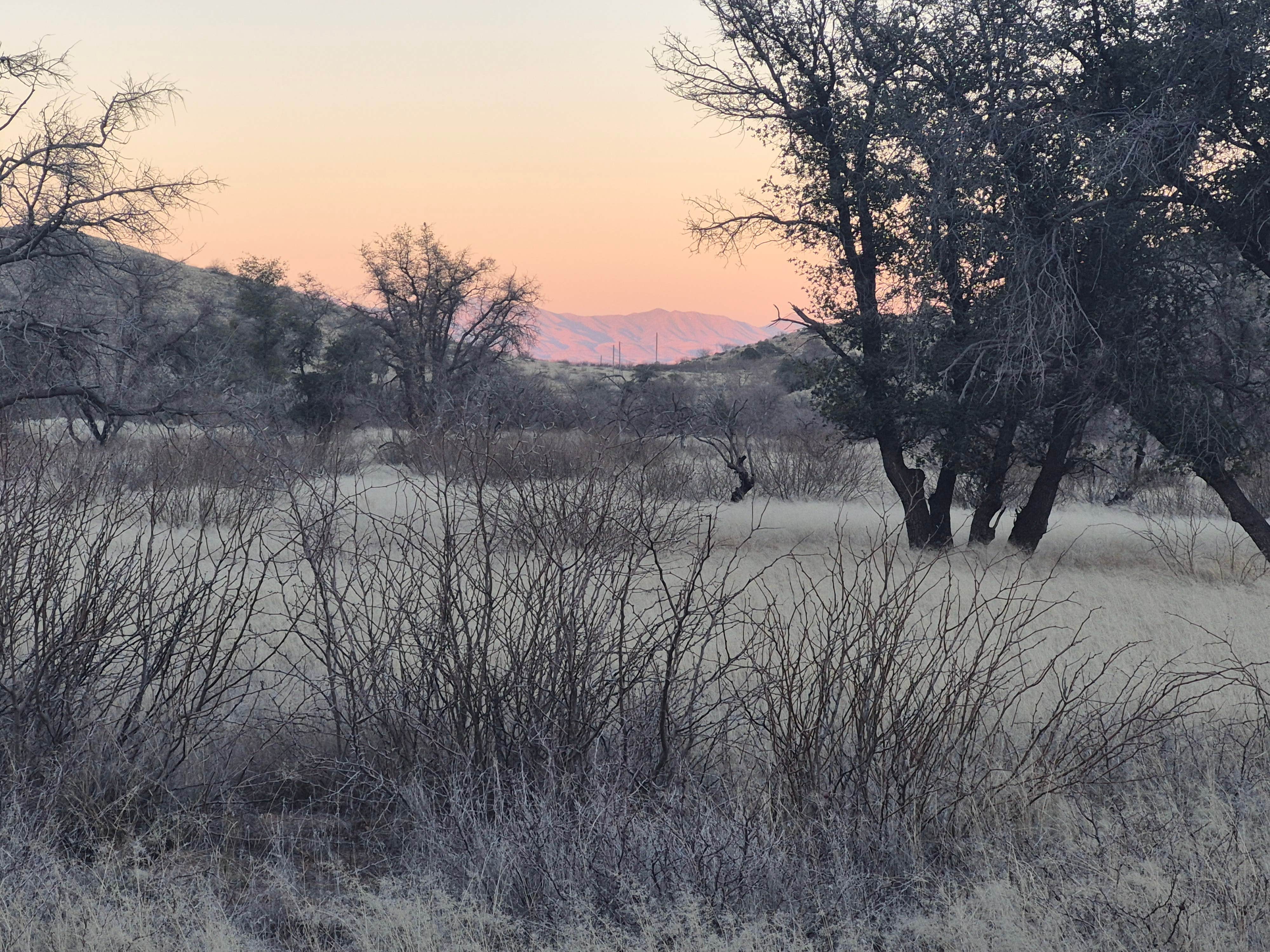 Camper-submitted photo at West Hunt Road near Dragoon, AZ