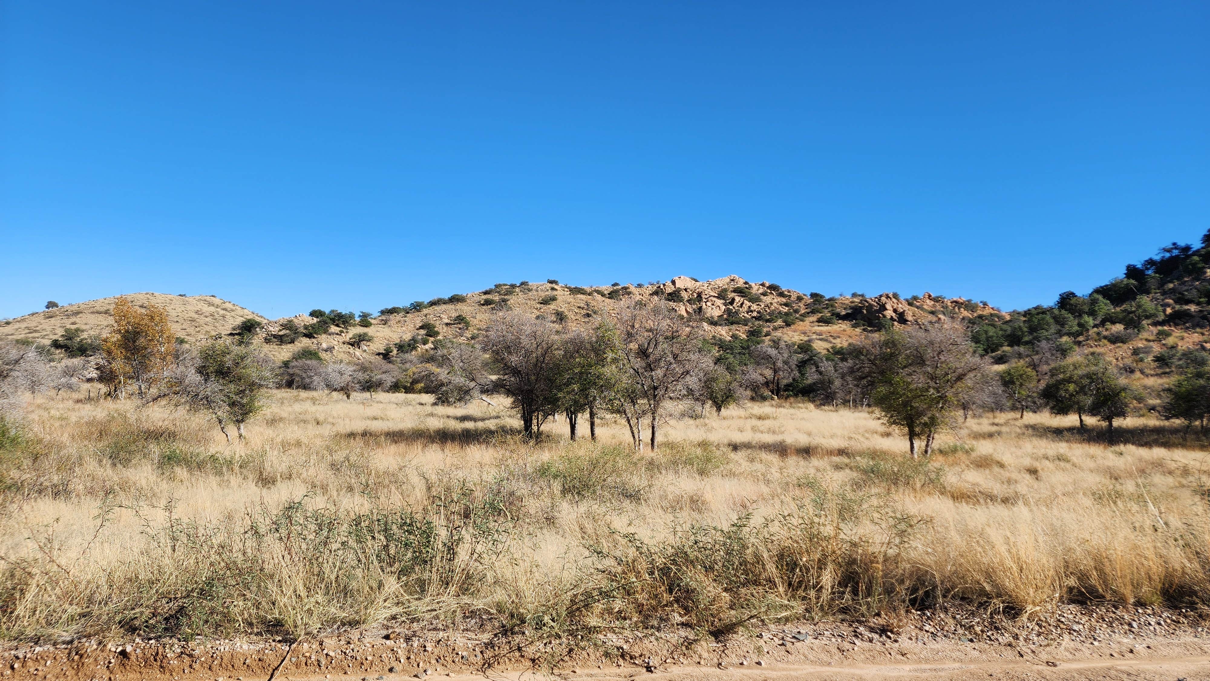 Camper-submitted photo at West Hunt Road near Tombstone, AZ