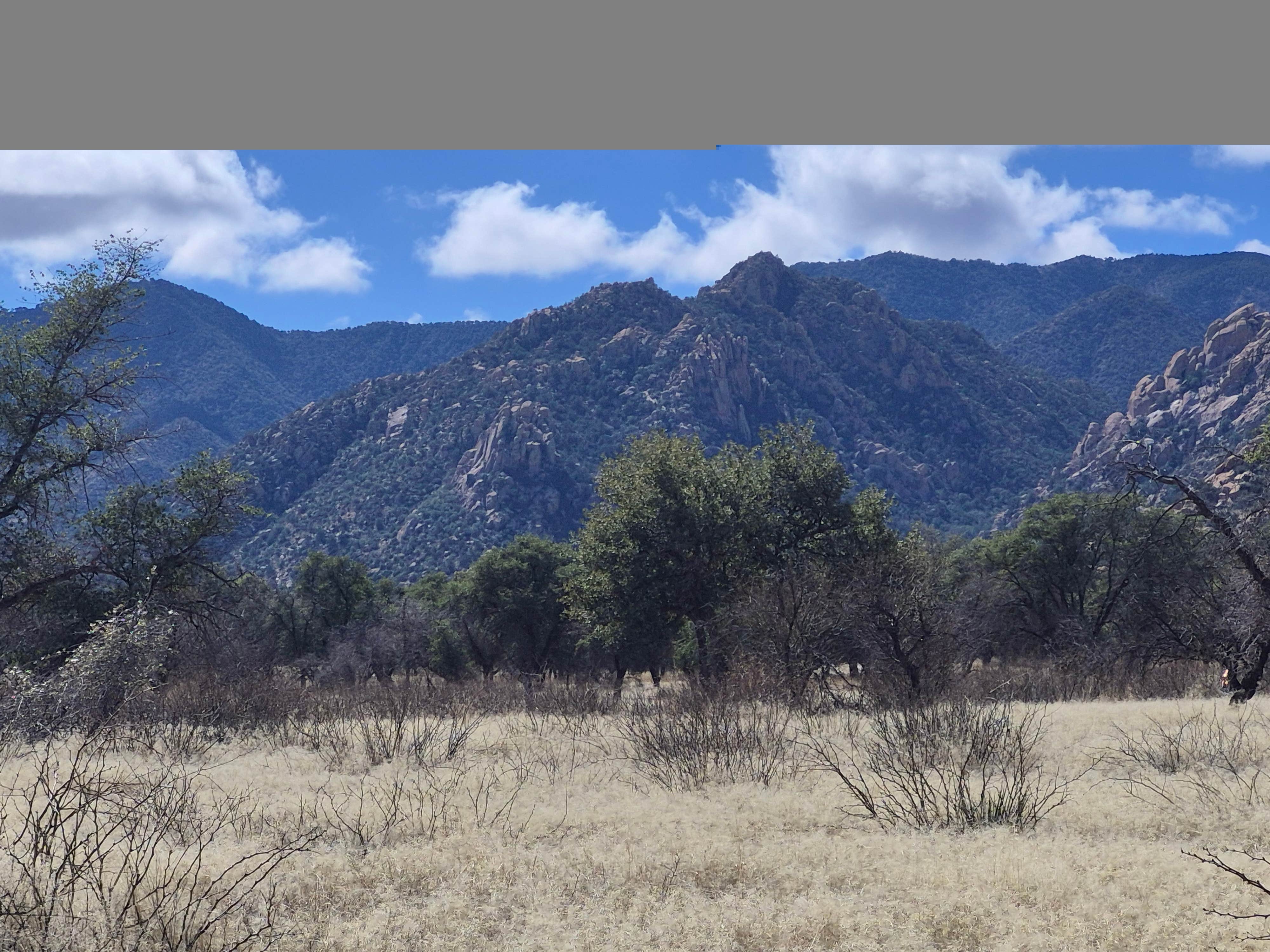 Camper-submitted photo at West Hunt Road near Dragoon, AZ