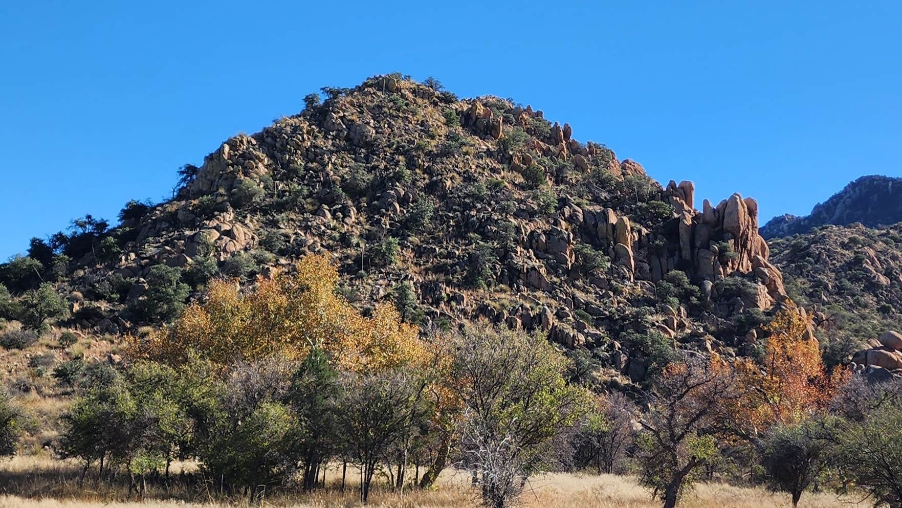 Camper-submitted photo at West Hunt Road near Tombstone, AZ