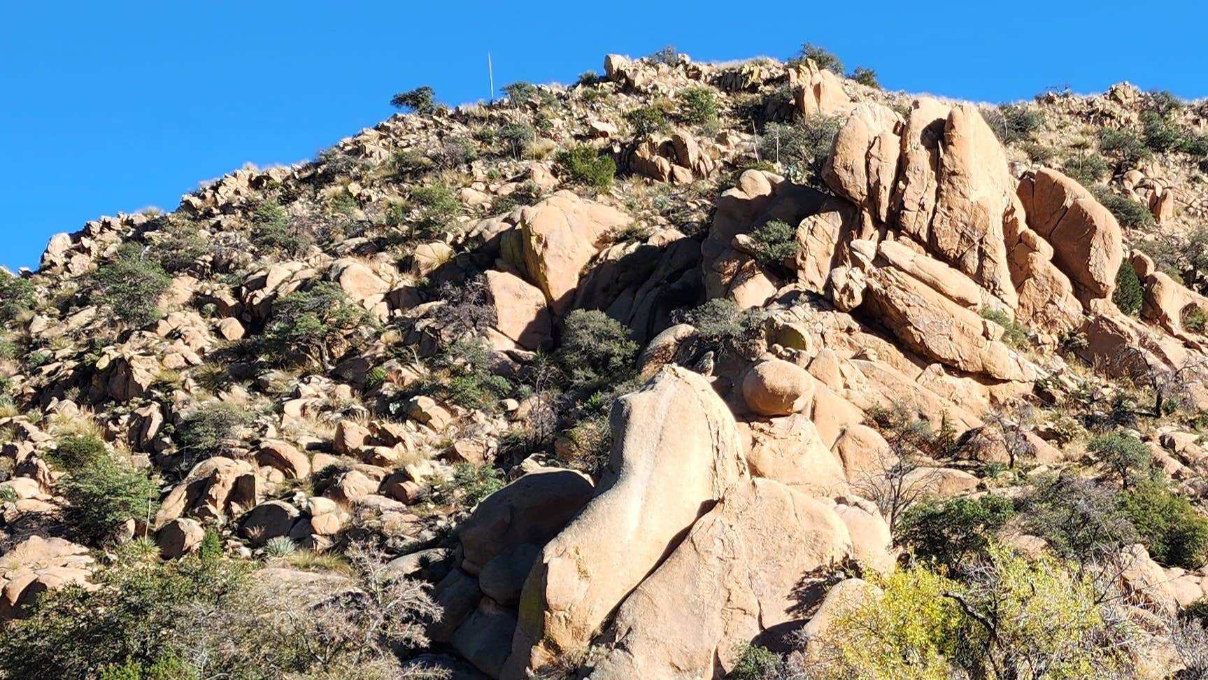 Camper-submitted photo at West Hunt Road near Tombstone, AZ