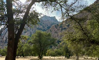 Fraun P.'s photo of camping with pets at West Hunt Road near Pearce, AZ