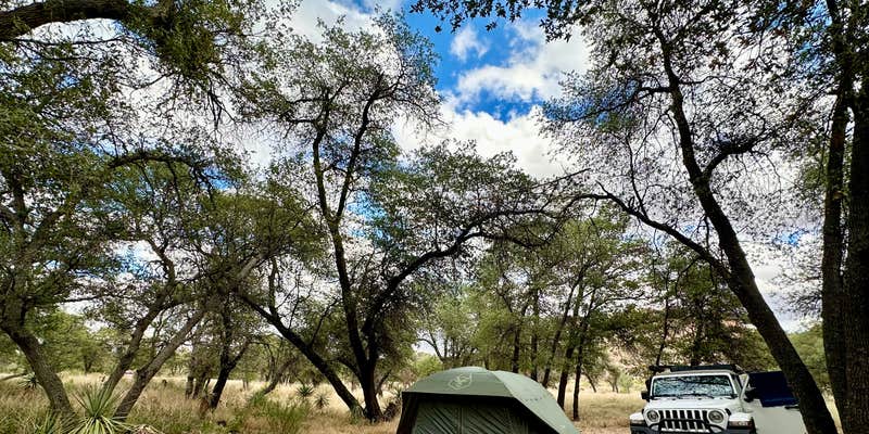 Camper submitted image from West Hunt Road