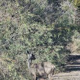 Review photo of West Hunt Road by Carl W., November 27, 2025