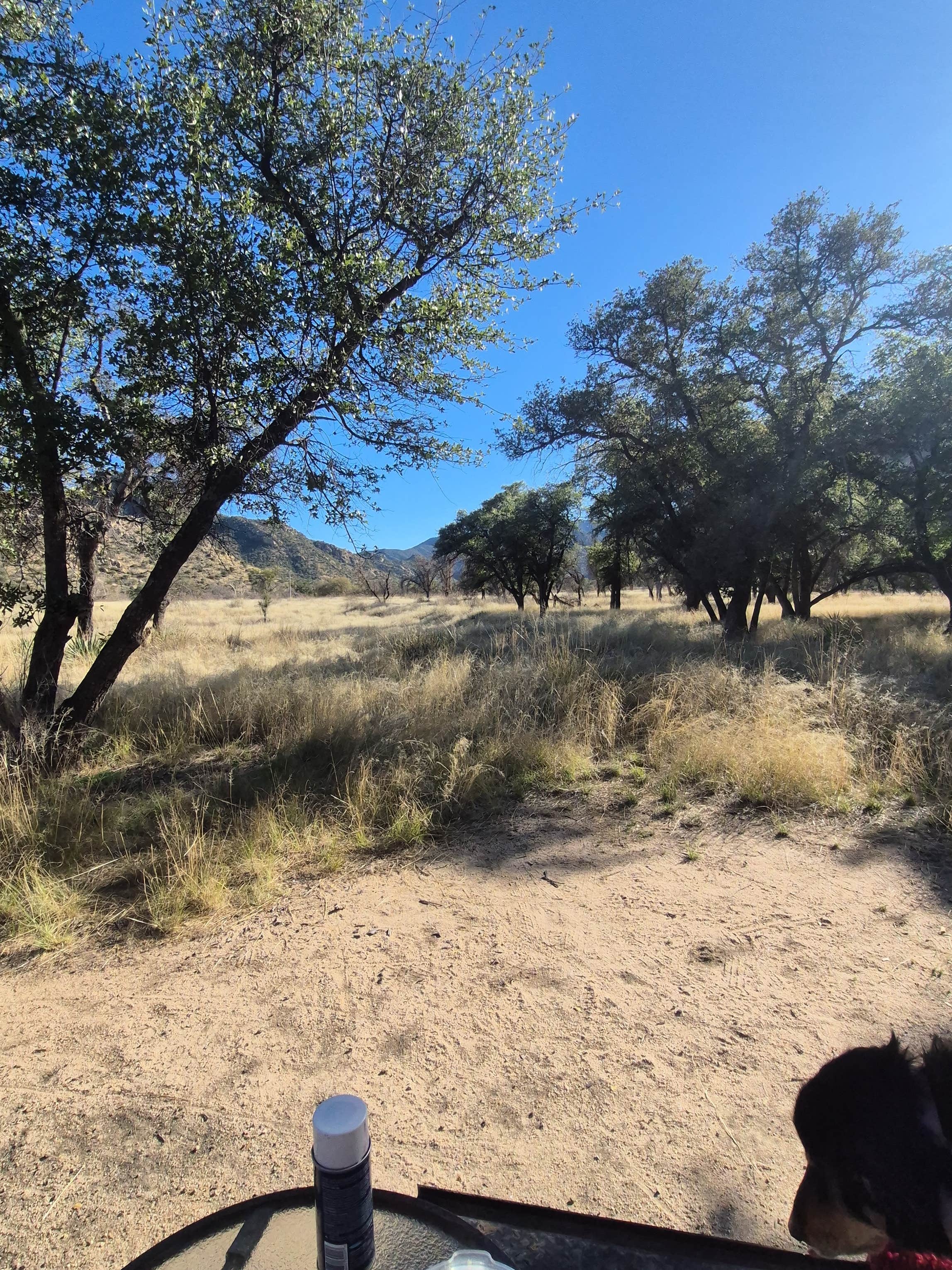 Robert C.'s photo of camping with pets at West Hunt Road near Willcox, AZ
