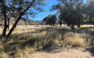 Robert C.'s photo of camping with pets at West Hunt Road near Dragoon, AZ